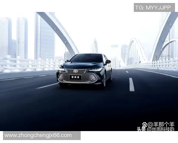 北京羽毛球队在洲际杯积分榜上以97分稳居第一名展现强劲实力