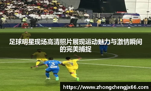 bsports官网